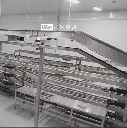 屠宰分割包装整厂输送线